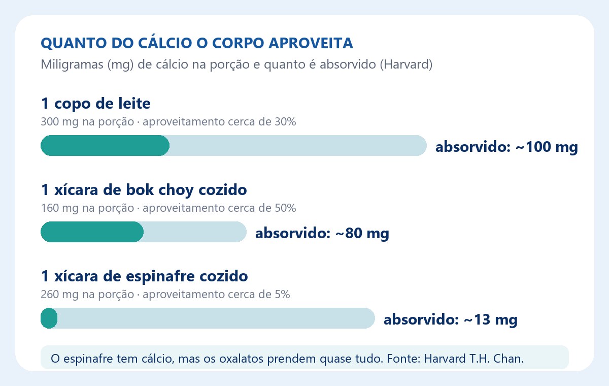 Infográfico comparando o cálcio absorvido de leite, couve-chinesa e espinafre